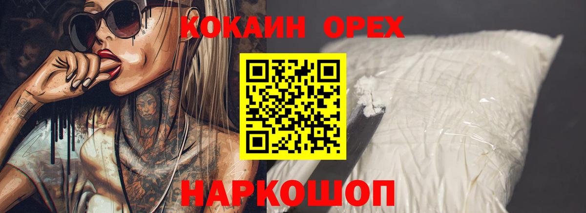 Cocaine FishScale  Вход с VPN  COCAIN FishScale  Нефтекумск 