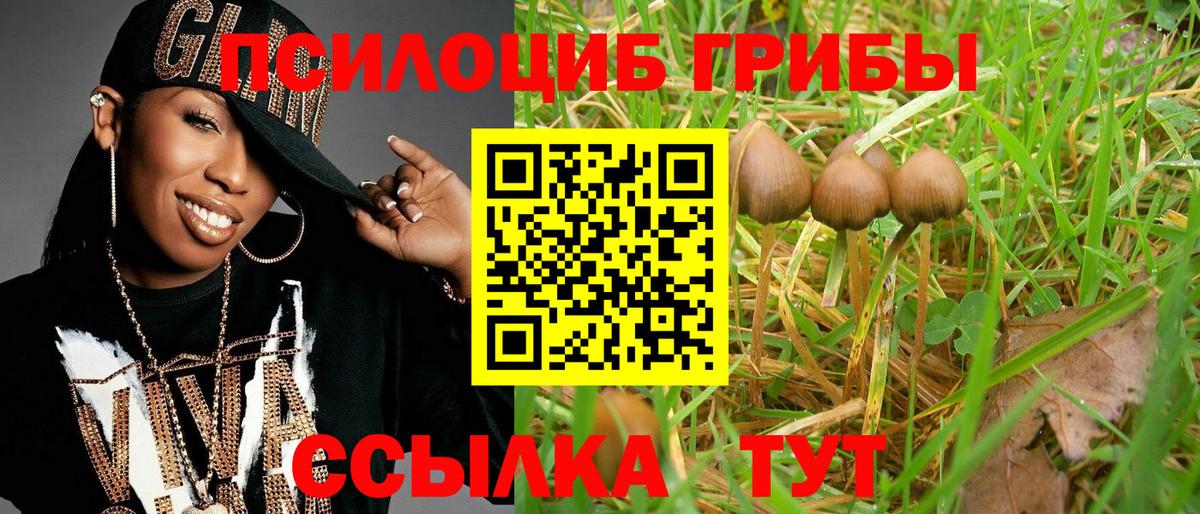 Псилоцибиновые грибы MAGIC MUSHROOMS Нефтекумск